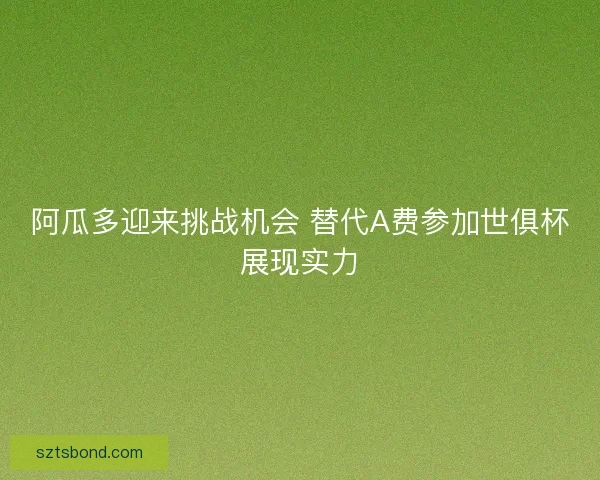 阿瓜多迎来挑战机会 替代A费参加世俱杯展现实力