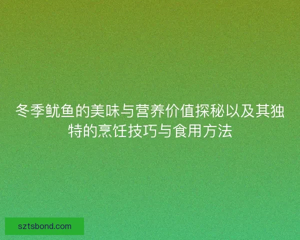 冬季鱿鱼的美味与营养价值探秘以及其独特的烹饪技巧与食用方法
