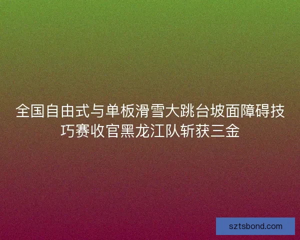 全国自由式与单板滑雪大跳台坡面障碍技巧赛收官黑龙江队斩获三金